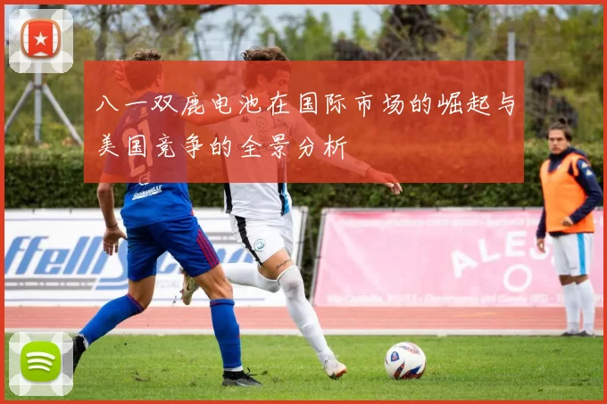 八一双鹿电池在国际市场的崛起与美国竞争的全景分析