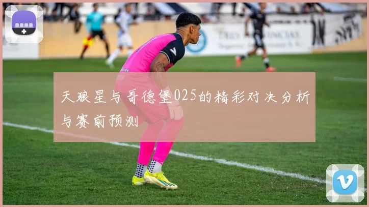 天狼星与哥德堡025的精彩对决分析与赛前预测