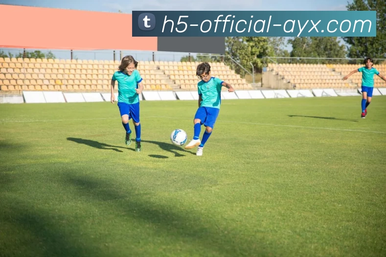 App Interface Preview