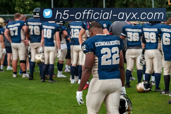 爱游戏APP 封面图